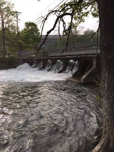 18190642932_bf8ba4e6b9_o