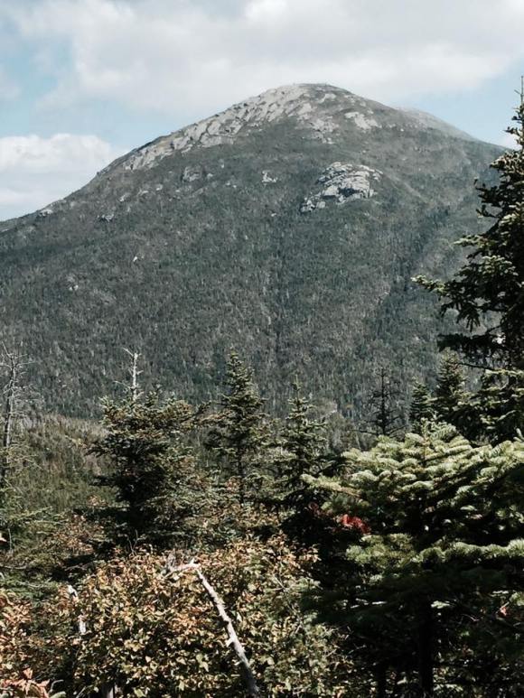 11998414_10205847054148153_289603714_n